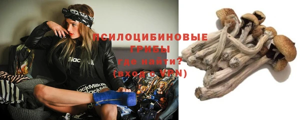 прущие крисы Балабаново