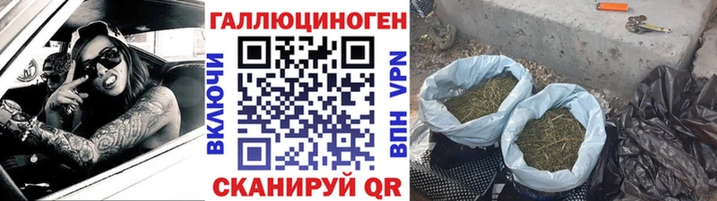 где найти наркотики  Невель  Псилоцибиновые грибы мицелий 
