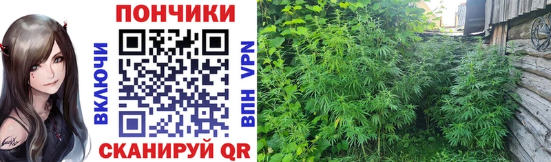 где можно купить наркотик  Невель  mega   Шишки марихуана White Widow 